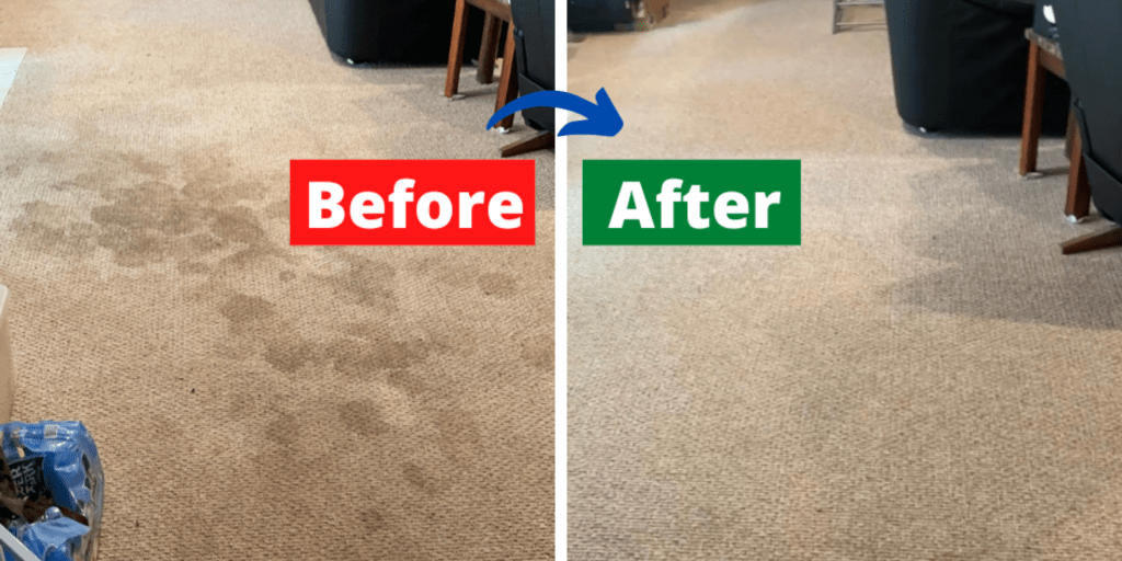 Carpet Cleaning Priority Carpet Cleaning, Baltimore, Maryland