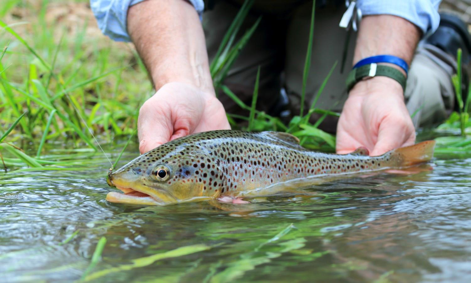 Pennsylvania Trout Unlimited Priority Waters
