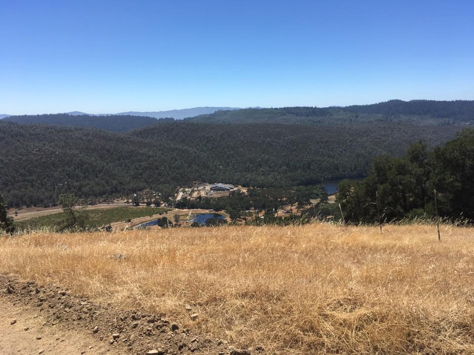 Maxville Estate Winery Priority Wine Pass