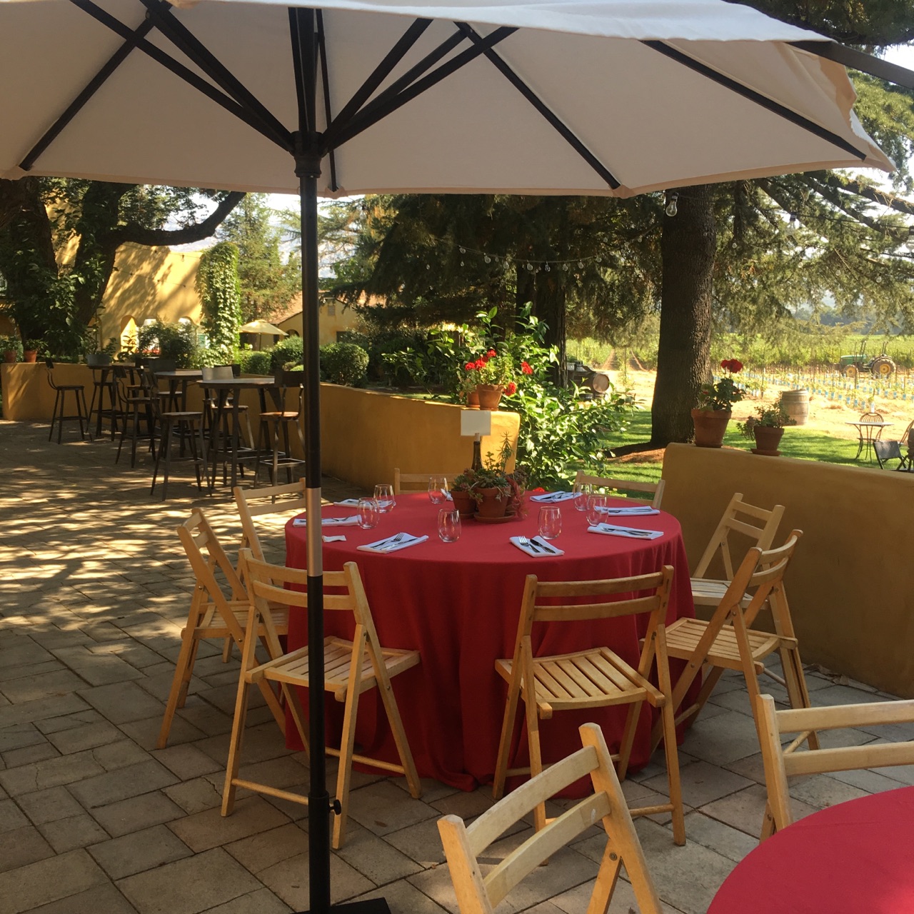 Underground wine tasting tours Priority Wine Pass