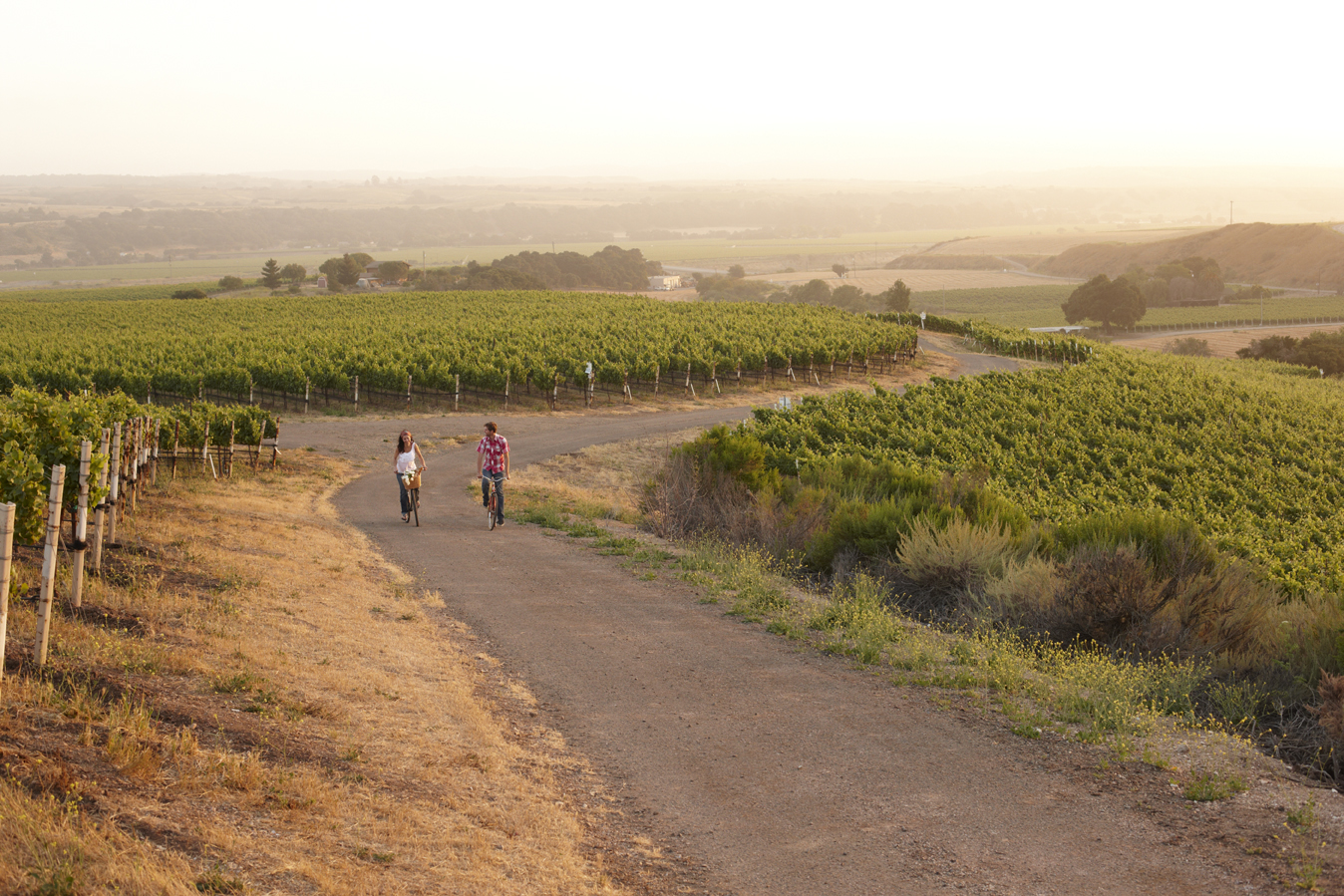 Cambria Estate Winery Priority Wine Pass