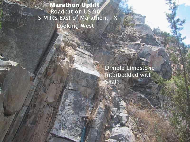 Big Bend Virtual Field Trip Marathon Uplift