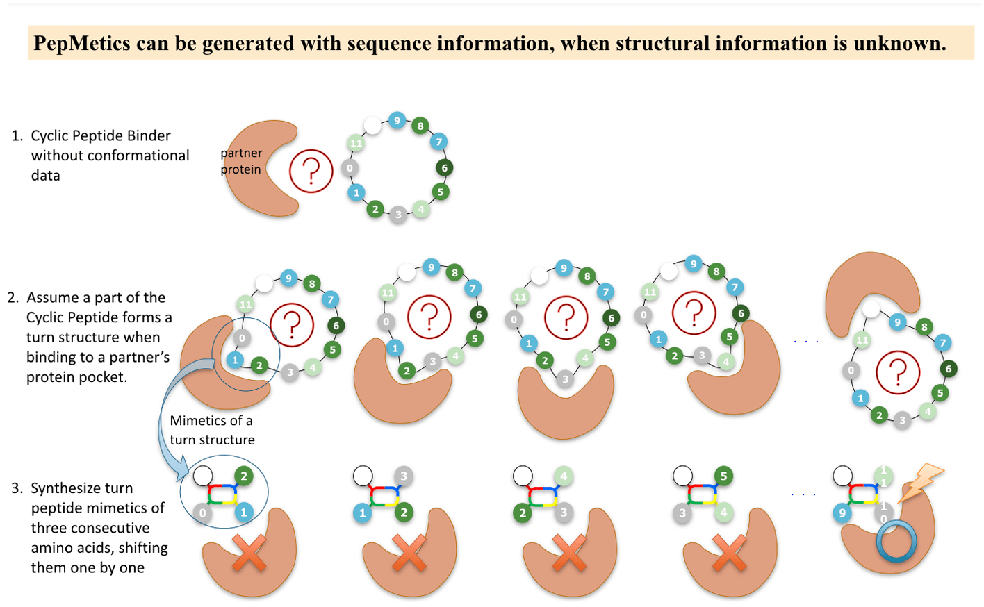 Sequence Mimetics Cyclic & Stapled Peptides PRISM BioLab