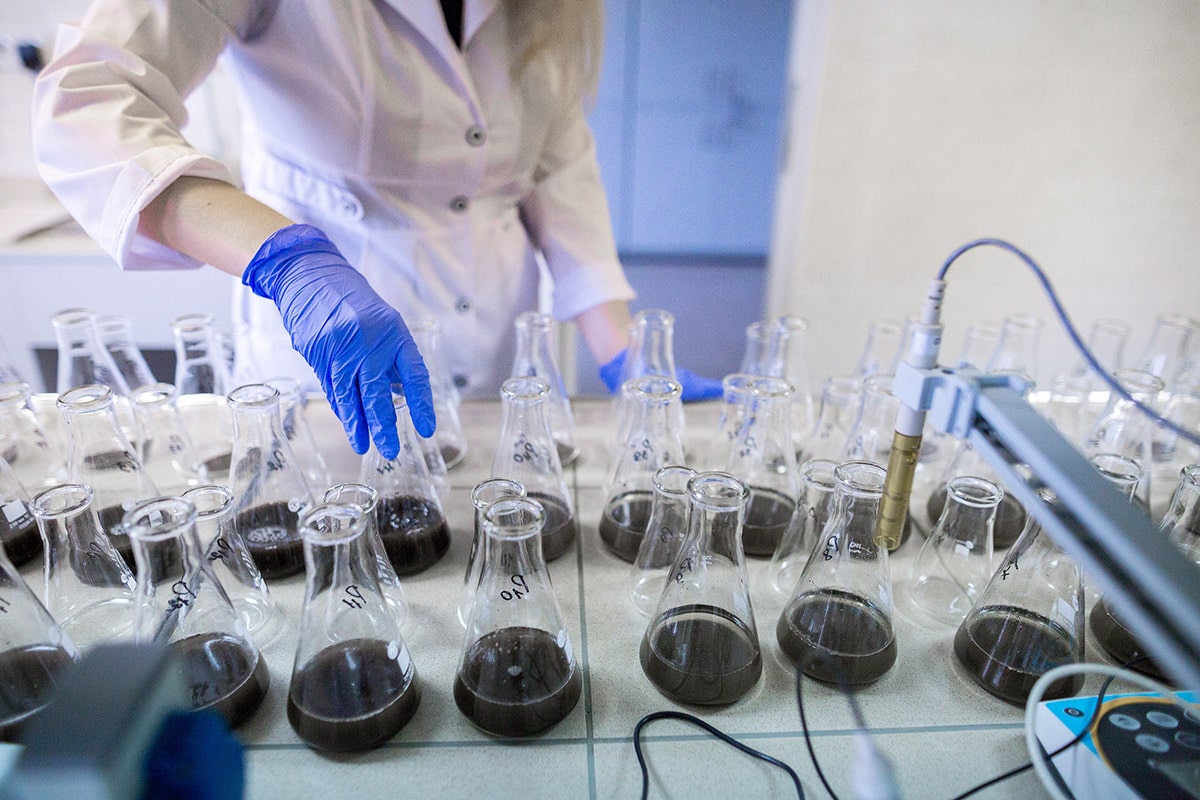 Microbial Soil Sample Analysis at Carolina Osborn blog