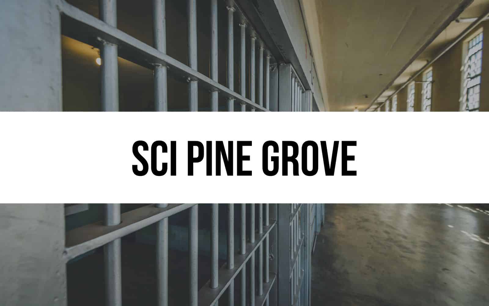 SCI Pine Grove Empowering Rehabilitation and Education