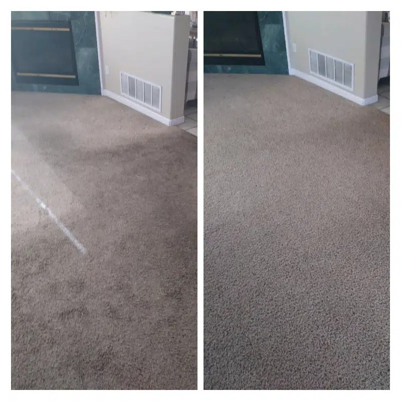 Best Carpet Cleaning Method Pristine Carpet Cleaning
