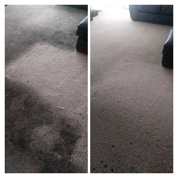 Special Offer Pristine Carpet Cleaning
