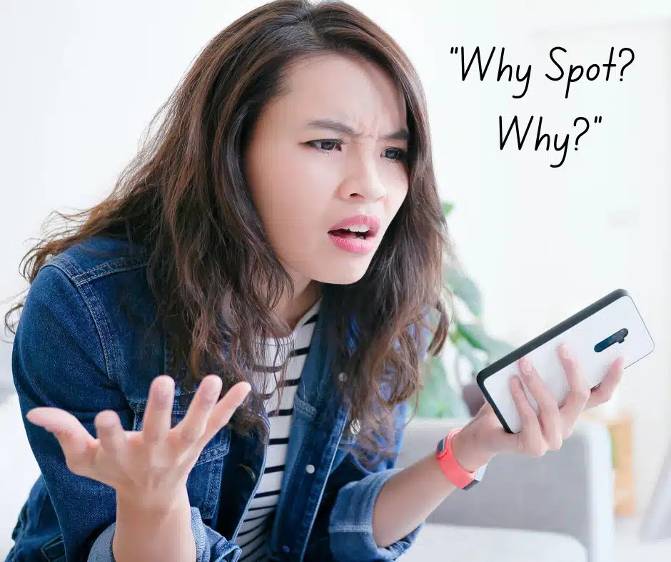 Spot's Revenge The NeverEnding Carpet Conundrum Pristine Carpet