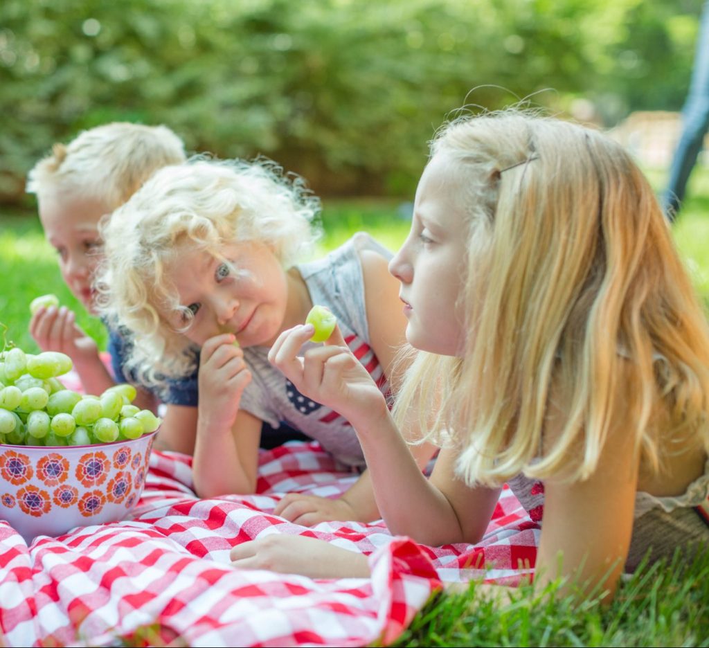 Pristine Grapes from Delano Farms and Four Star Fruit, Delano, California