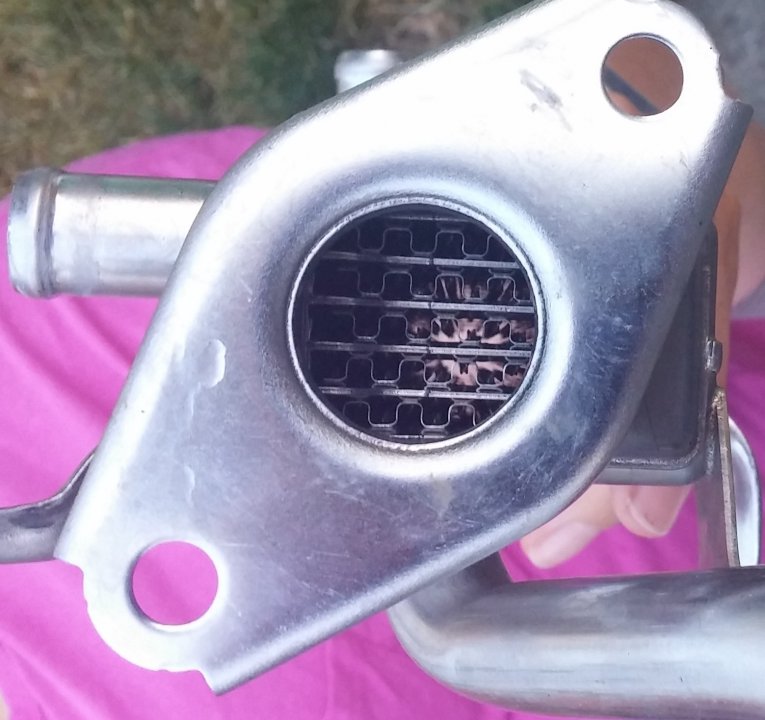 Clean_egr_cooler | PriusChat