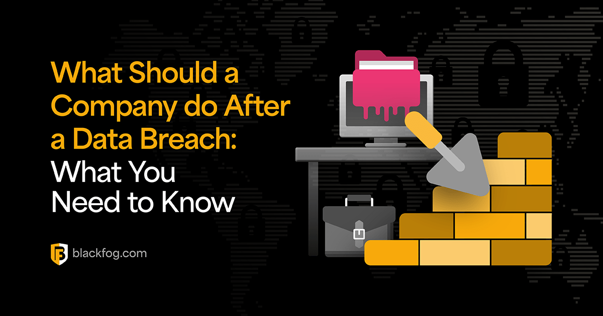 What Should a Company do After a Data Breach? Key Steps you Need to
