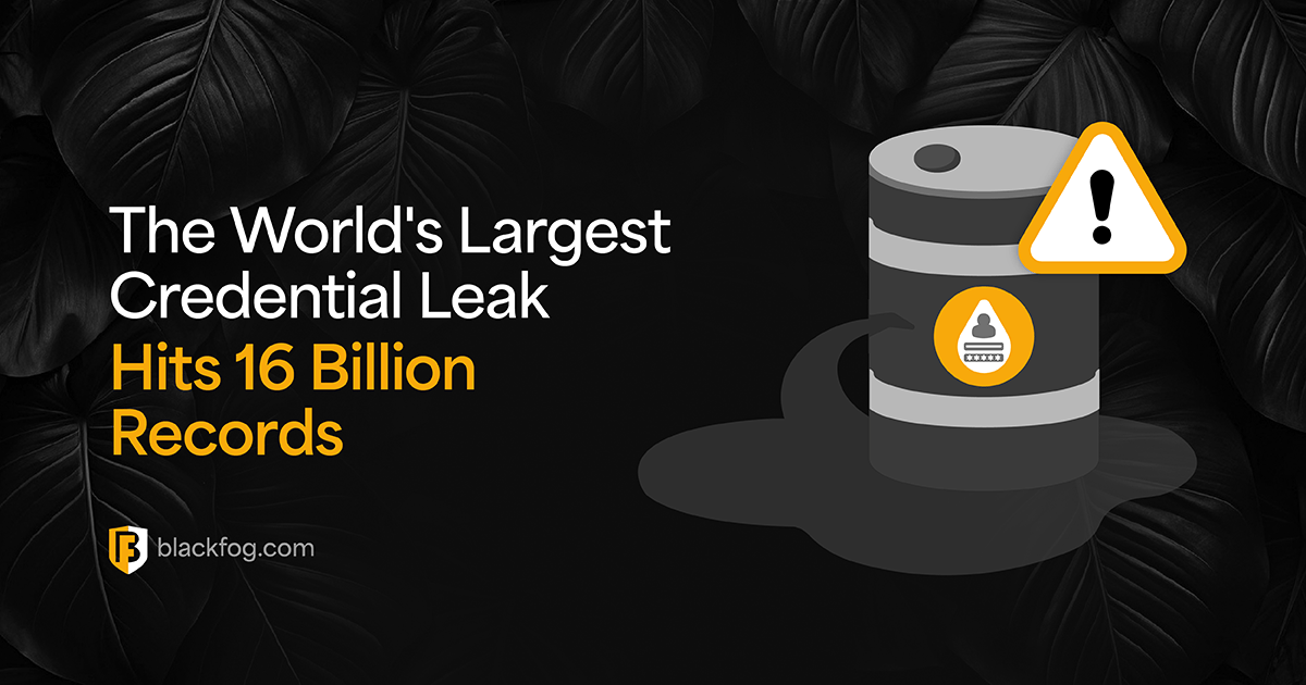 The 5 Biggest Ransomware Attacks of 2024 BlackFog