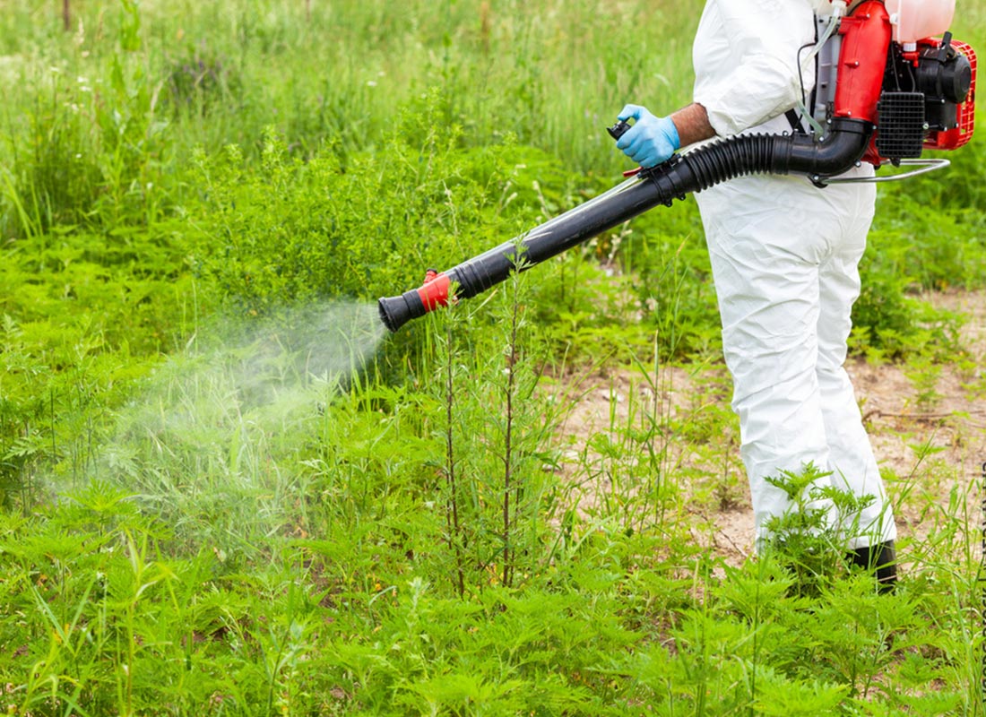 What Are the 4 Types of Pest Control?