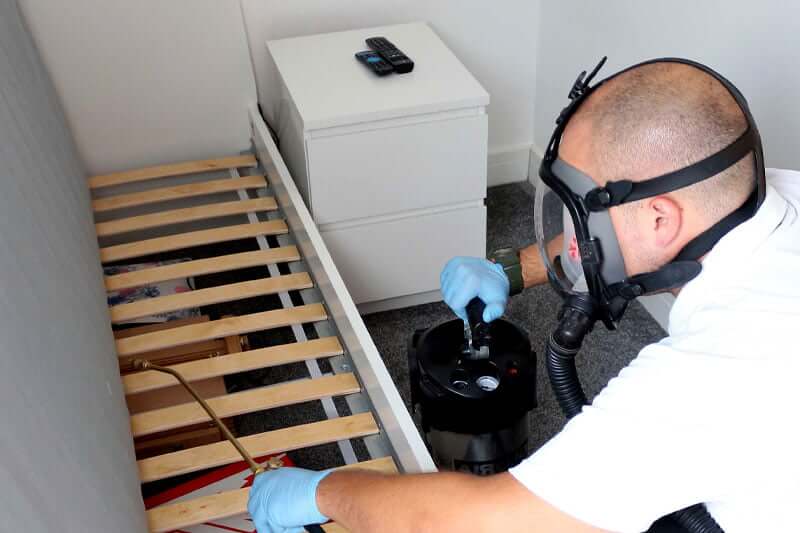 Do Bed Bugs Come Back After Treatment?