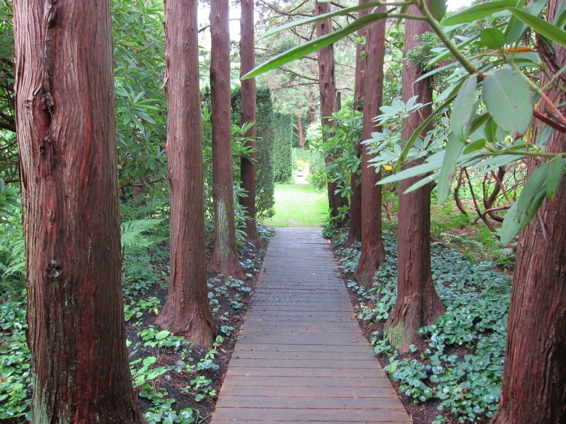 The Garden A Singular Sensation Private Newport