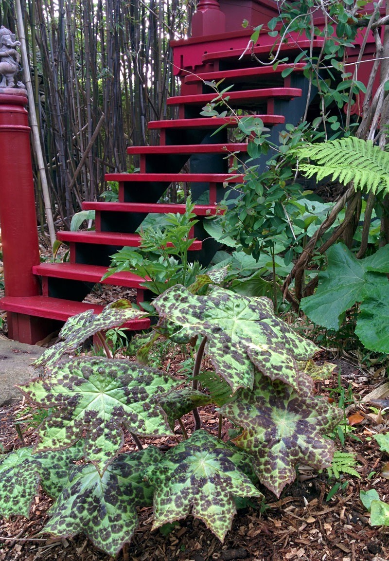The Garden A Singular Sensation Private Newport