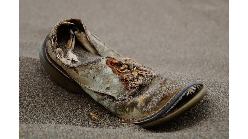 Why Did Humans Start Wearing Shoes Privileged