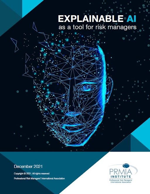 Paper Explainable AI as a Tool for Risk Managers