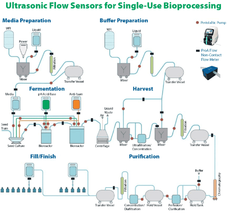 The ProA Flow ClampOn Flow Sensor Accuracy for Bioprocessing