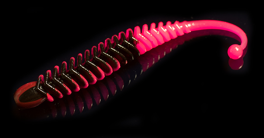 Trout Jara Boxter FAT Jetzt erhältlich bei www.probite.de