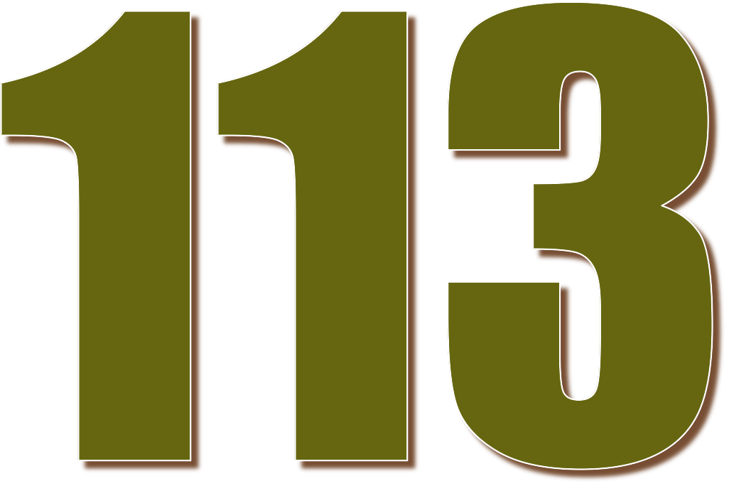 113 — сто тринадцать. натуральное нечетное число. 30е простое число. в
