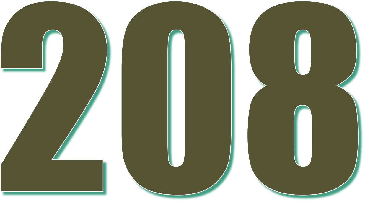 208 — двести восемь. натуральное четное число. в ряду натуральных чисел