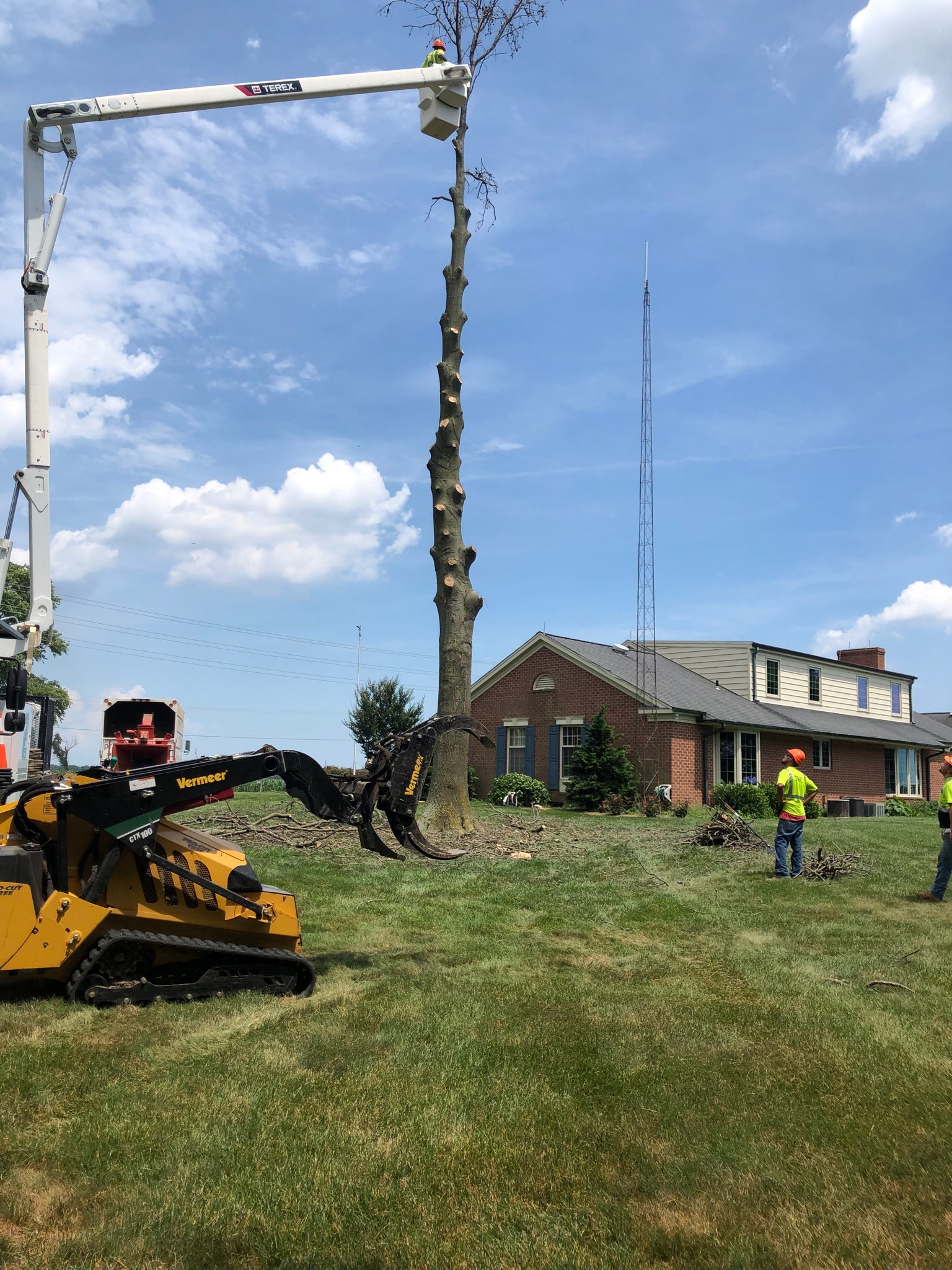 ProCut Tree Tree Care Services Little Creek DE