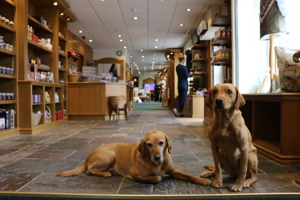 Country Ways Banchory stockists of ProEquine health care.