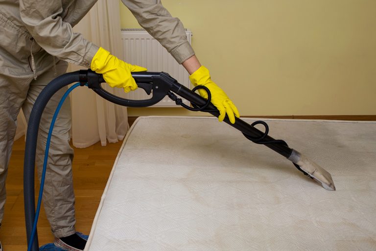 Carpet Cleaning Water Damage Restoration Roswell, NM Pro Steamer