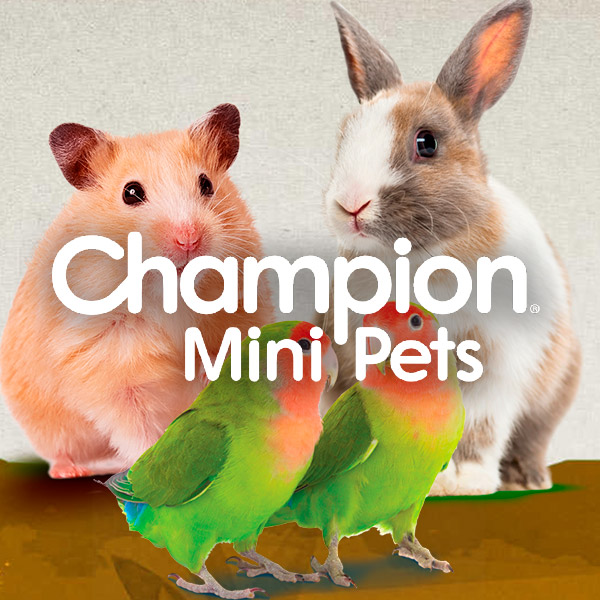 Champion Pet Care
