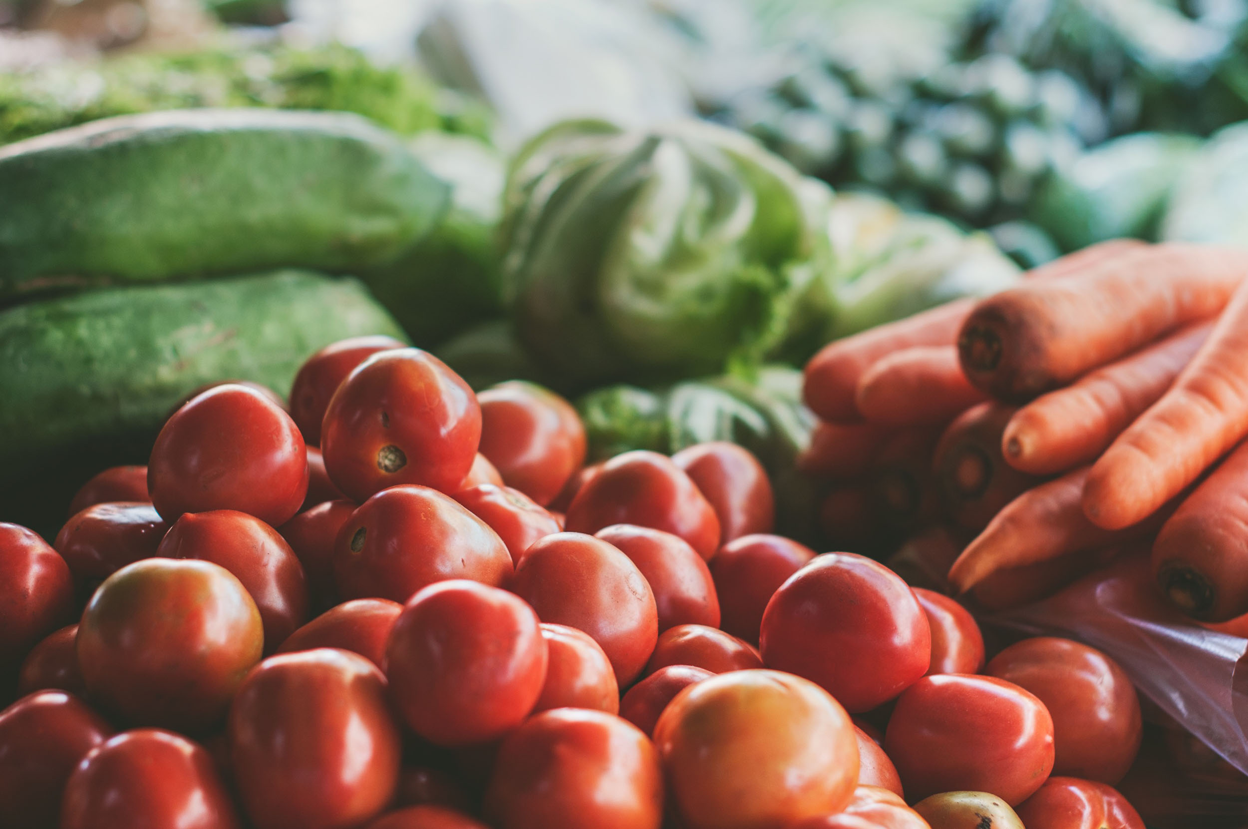 SLO FOOD Seasonal, Local and Organic Proactive Healthcare