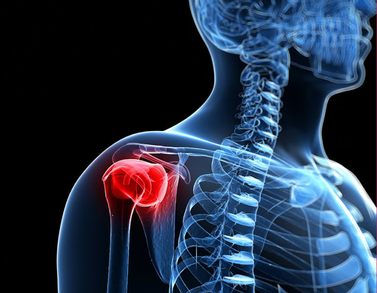 Rotator Cuff MusclesFunction ProActive Physical Therapy