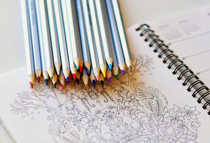 Best Colored Pencils for Adult Coloring Books Pencils Place