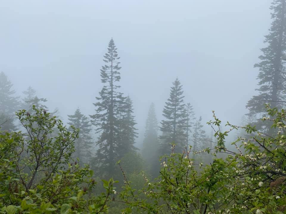 Washington state hiking A walk up Mica Peak proactiveoutside