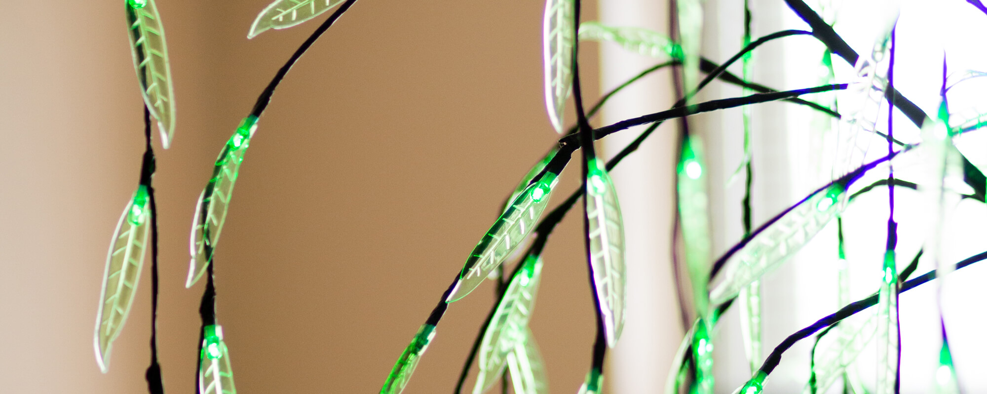 About Us » Professional Acupuncture & Physical Therapy Acupuncture in