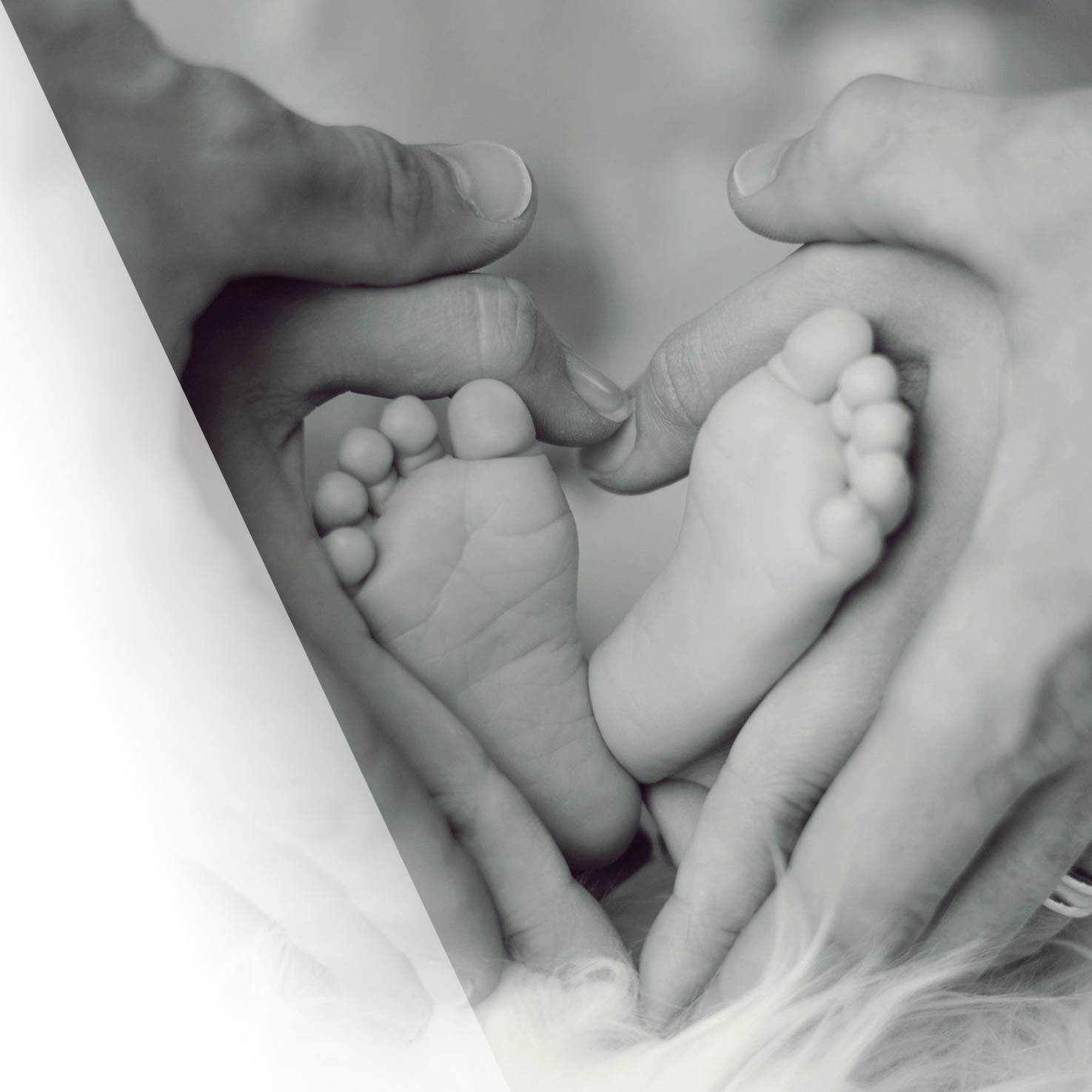 Acupuncture for Male Infertility » Professional Acupuncture & Physical