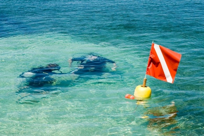 Diver Down Flags Everything You Need To Know Pro Adventure Guide