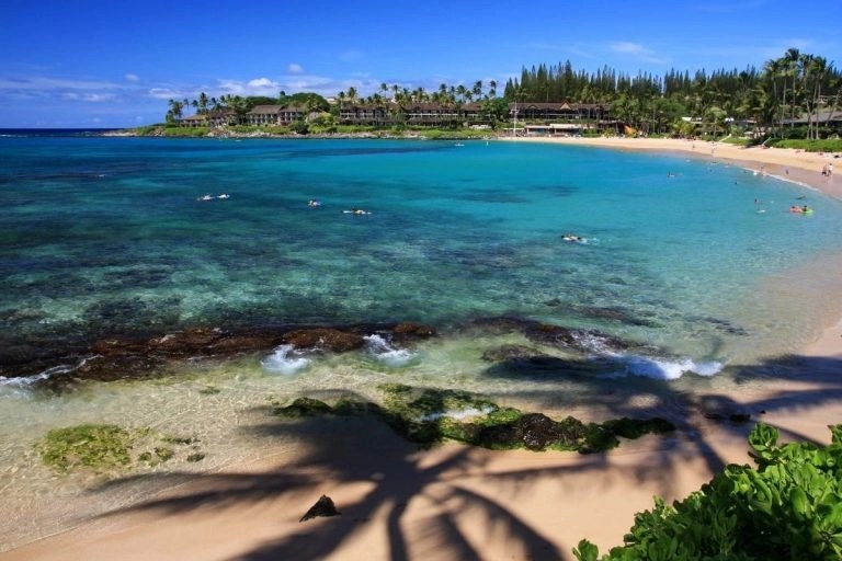 Guide To Snorkeling Kahe Point Beach Park/Electric Beach, Oahu