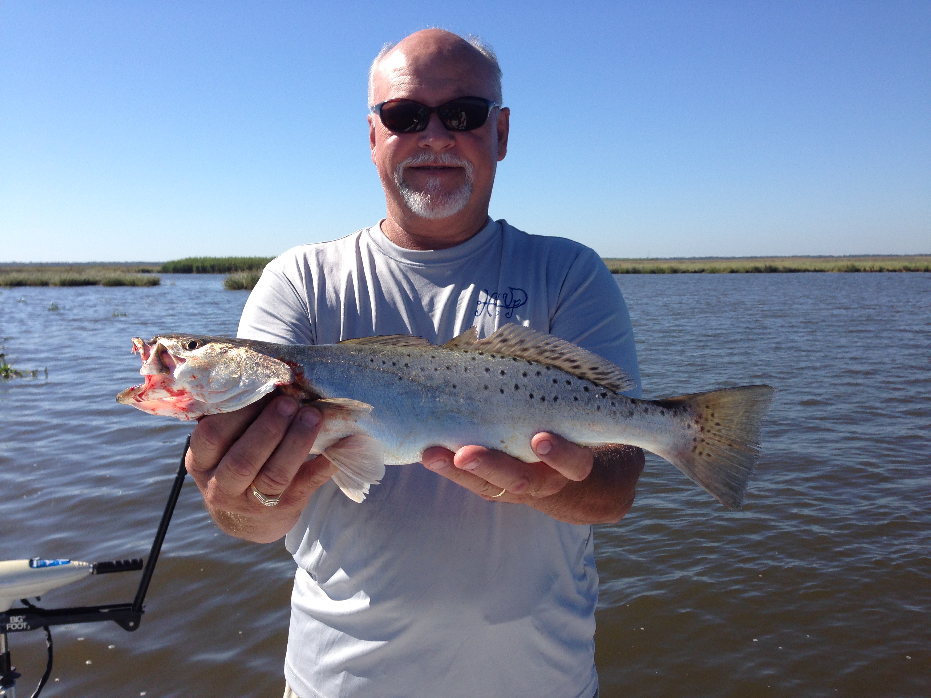 Delacroix / Reggio / Shell Beach / Hopedale Fishing Report