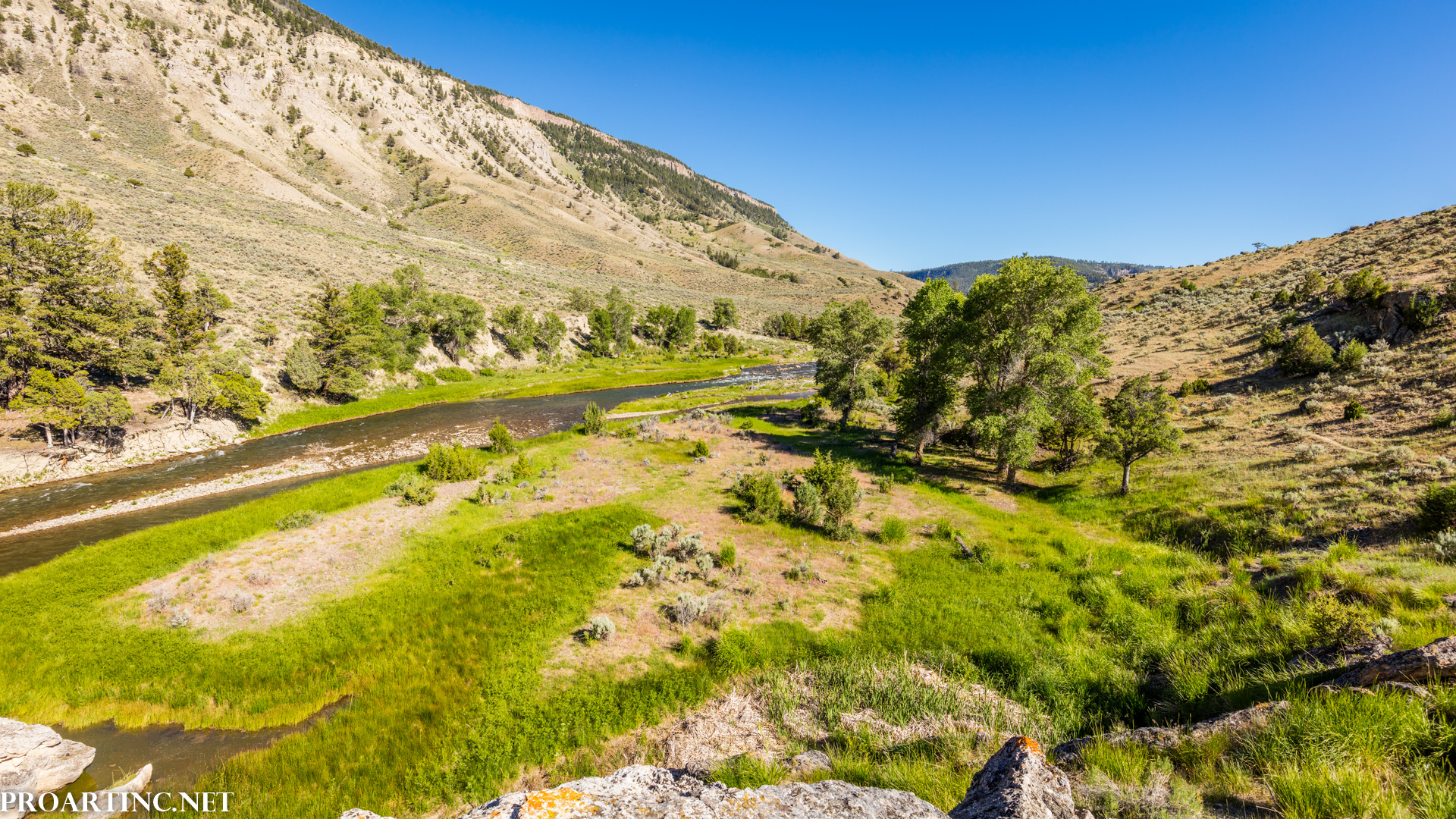 Yellowstone National Park 6 ProArtInc