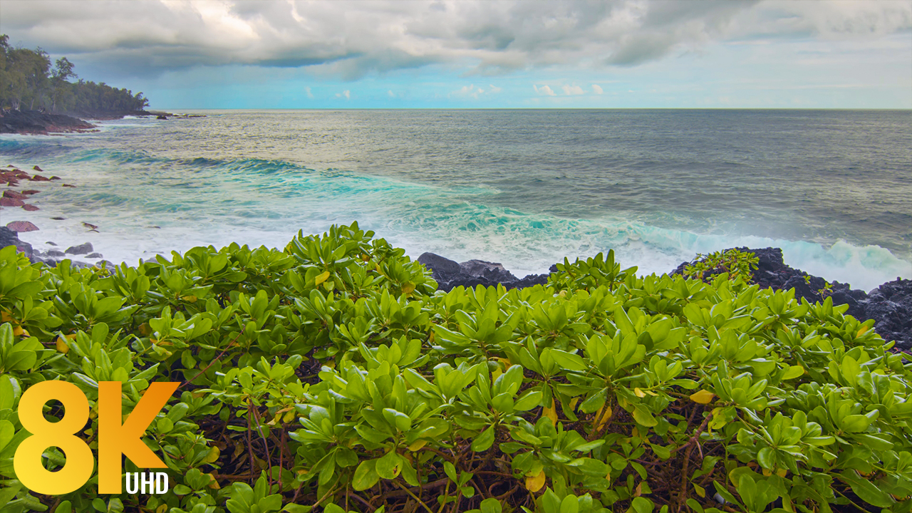 8K Oceanfront Views of the Big Island, Laupahoehoe Point Beach Park 3