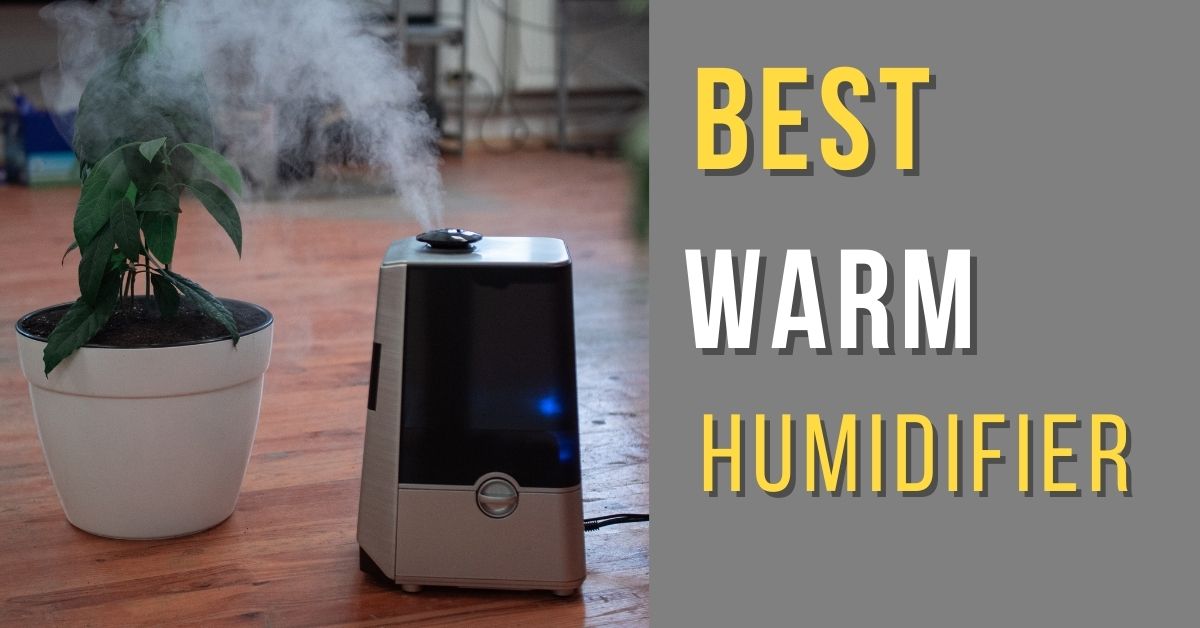 Top 5 Best Warm Humidifier of 2023 Pro Baby Guide