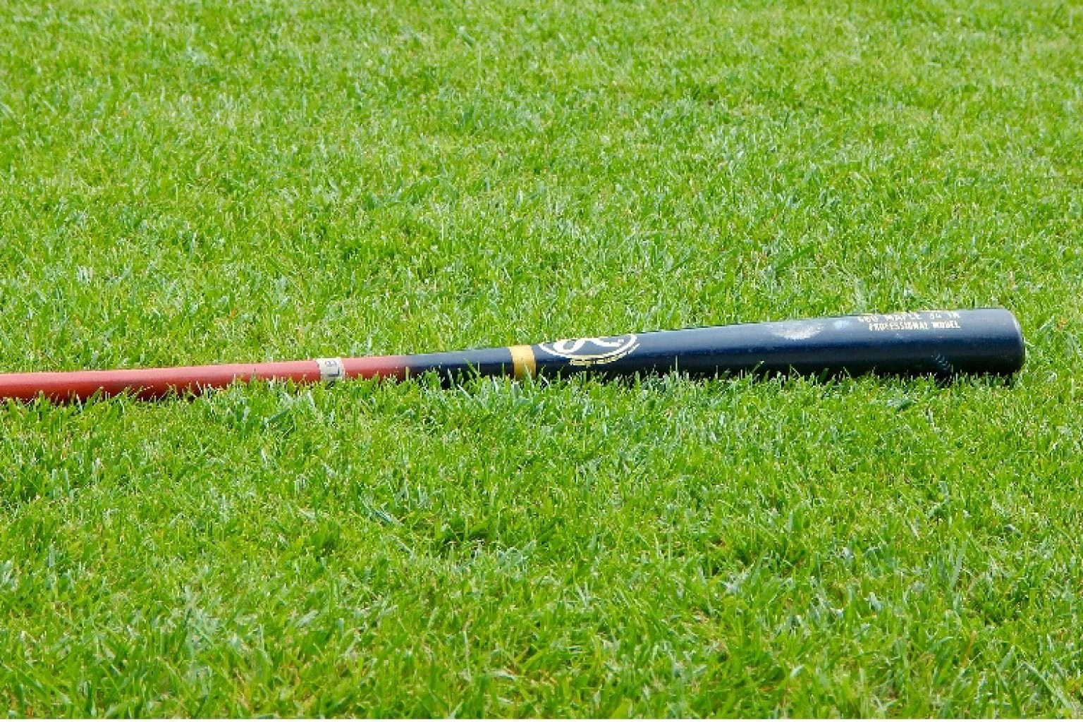 What is a Fungo Bat Best Fungo Bats Reviewed ProBaseballGuide