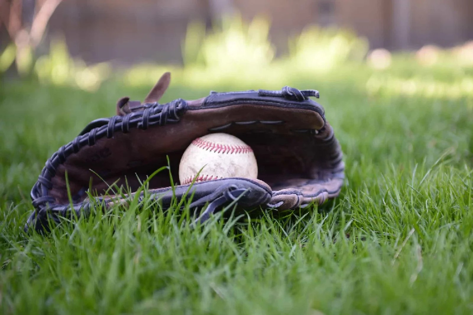 7 of the Best Left Handed Baseball Gloves Reviewed