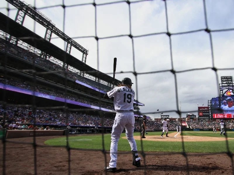 Best Wood Baseball Bat Packs ProBaseballGuide