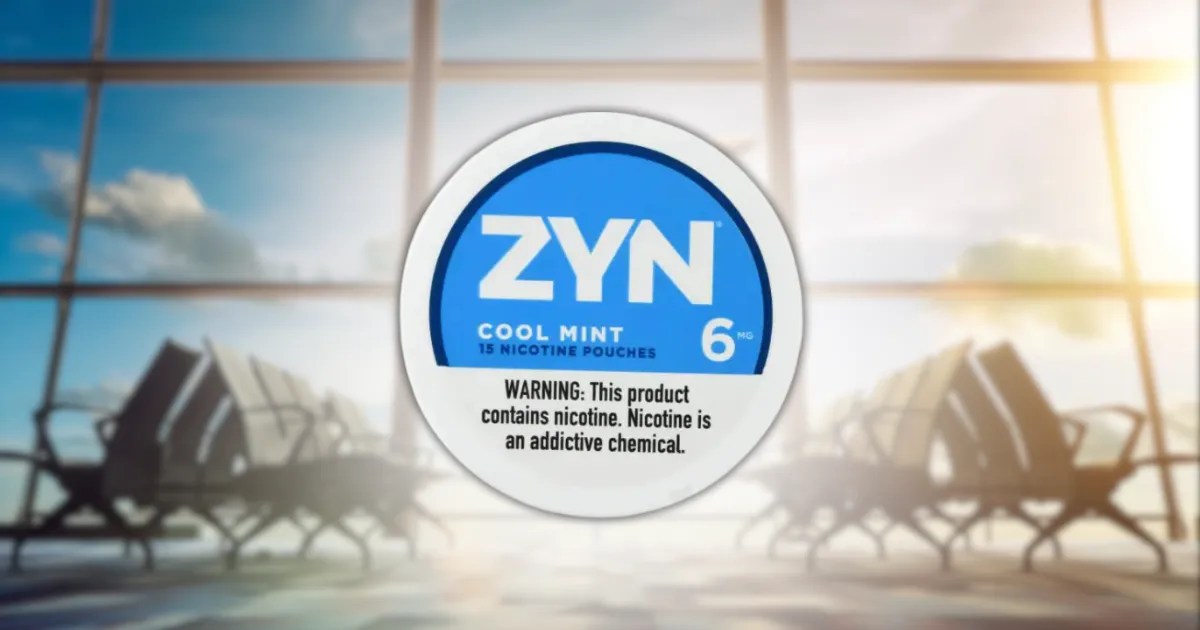 Can You Bring Zyn On A Plane? Probashi Fly