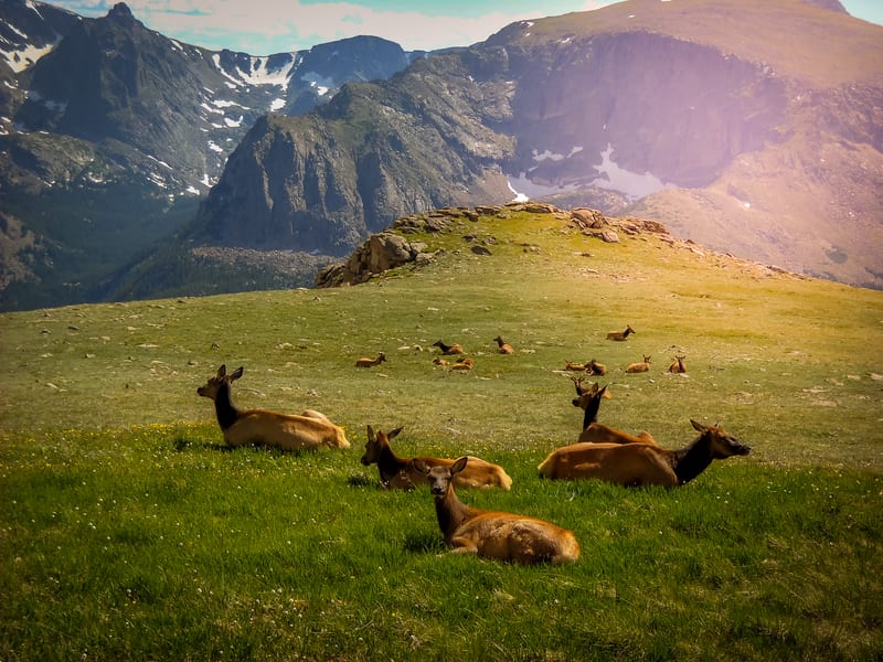 How Do You Make a Valid Will In Colorado?