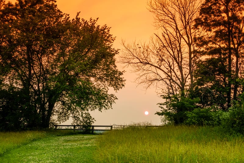 Surviving Spouse Rights Kentucky Probate Stars Know Your Rights