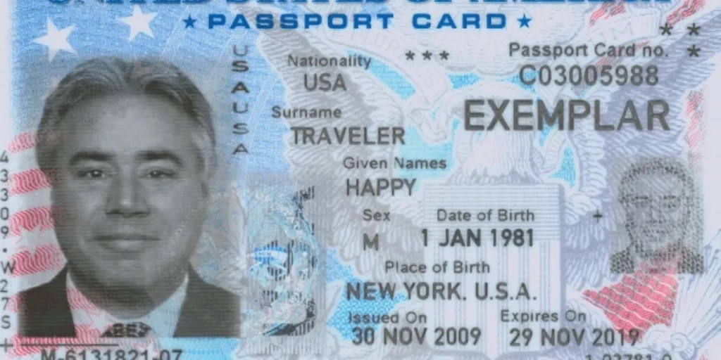 Understanding Travel Document Numbers Complete Guide