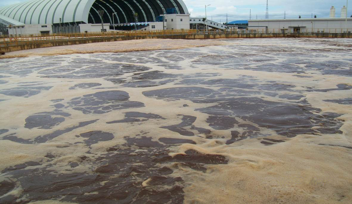 Paper Mill Wastewater Treatment System Probiotic Solutions®